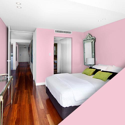 entrega Frontera Polvoriento Colores de pintura rosada - Colores de pintura para interiores y exteriores  para cualquier proyecto